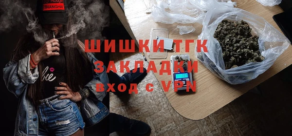 мдпв Няндома