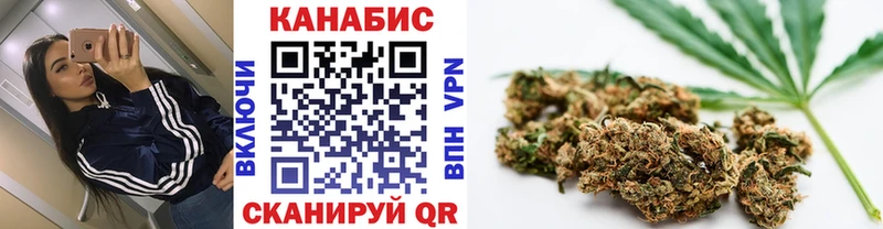 Конопля OG Kush  Орёл 